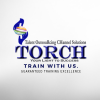 torch logo - Customer Service Representative for Pioneer Account